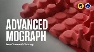 Enhance Your Portfolio: Free Mograph Training!