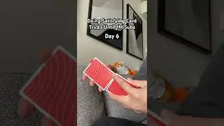 Satisfying Card Tricks Until 1M Subs (DAY 6)