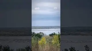 Уровень воды в Волгоградском водохранилище продолжает падать #Волга