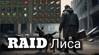 RAID Лиса | Anca | LAST DAY ON EARTH V.1.25