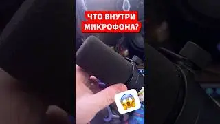 Что внутри МИКРОФОНА? 😱