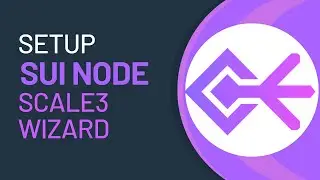 How to setup a Sui node using Sui Wizard