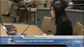 Legislative Task Force on Child Protection - 01/11/24