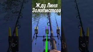 Половил, Блин, Линя Золотистого 😎  Русская Рыбалка 4! #shorts #рр4 #троф #русскаярыбалка4 #трофей