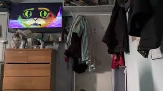 Puss In Boots 2: The Last Wish (2022) The Wishing Star Fight scene