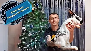 Привёз новую генетику на своё хозяйство! Доставка и отправка моих элитных поросят по всей России !!!