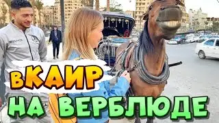 САМЫЙ ГРЯЗНЫЙ ГОРОД | ШАРМ ЭЛЬ ШЕЙХ в Каир на автобусе Go Bus