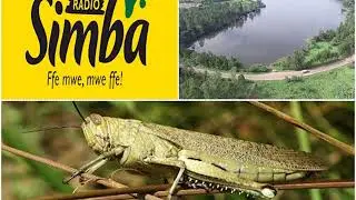 ENSI YA BANIOBA - BINSANGAWANO
