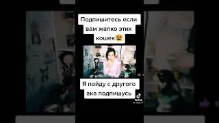 Кошки просят помощи
