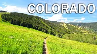 Hiking Royal Elk to Beaver Lake, Colorado | Summer Trail Guide