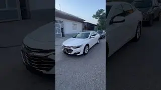 Malibu sotiladi! 