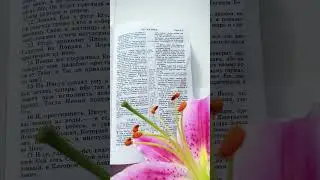 Искушение Иисуса: Бросься вниз❗Матфея 4:5