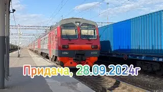 Видеоохота на станции Придача, часть 3 (ОСЕНЬ!)