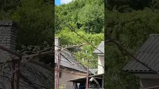 ЗАБРОШЕННОЕ ЕВРЕЙСКОЕ КЛАДБИЩЕ КОТОРОМУ 400 лет.