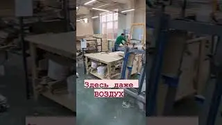 Запах столярки