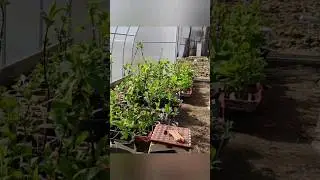 Если вот это вот все не делает тебя счастливым, то...🤔😮😨🧐😆