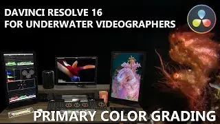 Davinchi Resolve for Underwater Videographers - Primary Color Grading