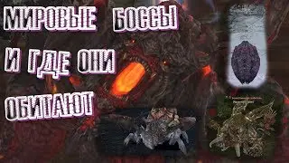 Tera online - Мировые Боссы и где они обитают