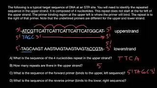 Forward and reverse primers - all you need to know