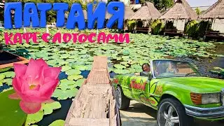 Паттайя. Ресторан на Озере с Лотосами. Итальянская кухня в Белла Италия. Наша Любимая Пицца?