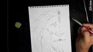 Видео урок - Рисунок карандашом (ЛЕВ) How to Draw a Lion