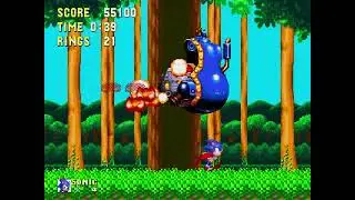 [TAS] Genesis Sonic 3 & Knuckles Sonic by BenInSweden, eandis, Chrezm & kaan55 in 22:20.09