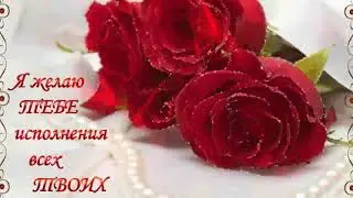 Здравствуй