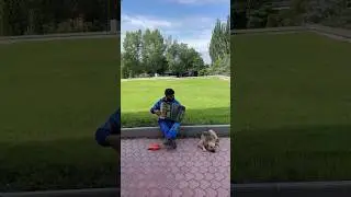 🐶Ջեկո ջան, դու տենց ամբողջ օրը սոված քնի:Ես պետք ա աշխատեմ, որ ուտեմ, խմեմ, քեֆ անեմ: