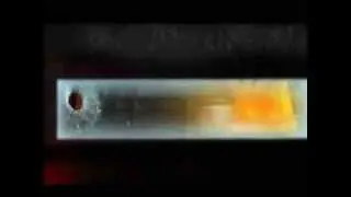 Возвращение Шрама.Финал первой части.