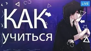 Как научиться программировать [1/2]