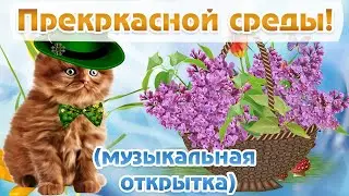 Удачной Среды! Перкарасного Настроения! Красивое пожелание. Музыкальная открытка.