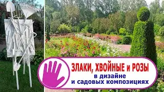 Видео журнал 