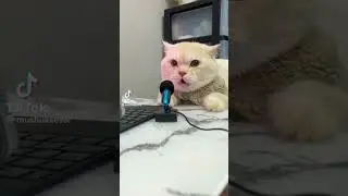 😂😂😂 