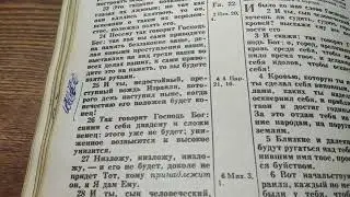 Южный царь южному лесу.
