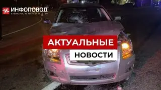 В Ставропольском крае лихач насмерть сбила двух школьниц
