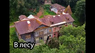 Огромный заброшенный особняк в лесу. Усадьба Нарышкина, Рязанская область