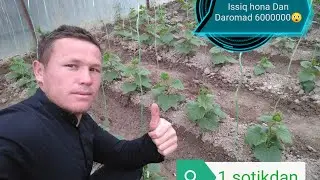 Issiq hona 1yida 1sotikdan 6000000 milyon topsa boladi
