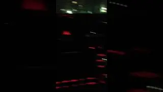 Сверчок адовый. KIA ceed jd