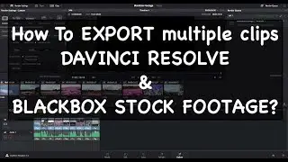 Export Multiple Clips | Davinci Resolve | BlackBox Stock Footage