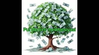 Pul meditatsiyasi