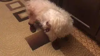 ТАПОЧКИ ДЛЯ ЛЯЛЕЧКИ