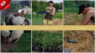 👩‍🌾Потерянное видео  🍎🍅Закончила высаживать огород 🍓Урожай #garden #деревня #огород