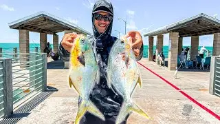 Catch & Cook