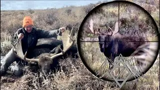 Moose Hunting Wyoming | Public Land MONSTER! | 4K