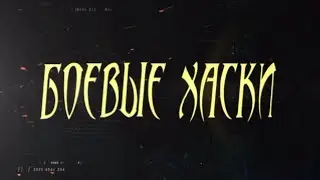 Боевые хаски. 10 февраля 2019 гонка "Пермский период 2019"
