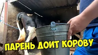 Как доить корову своими руками процесс доения 🐄 Как получить больше молока от коровы 🌼 Дойка вручную