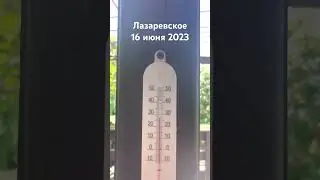 #лазаревское