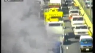 (1995) Διαφημιστικό / GreenPeace 5