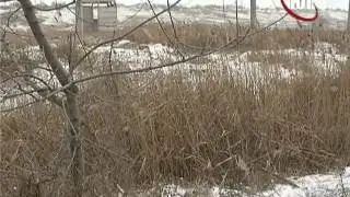 Найден труп пропавшей 14 летней девушки