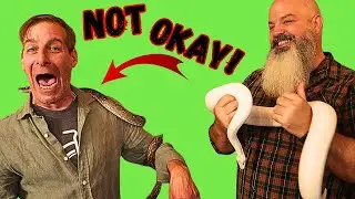 Trying To Get Over a PHOBIA of SNAKES